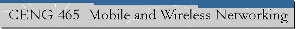 CENG 465  Mobile and Wireless Networking