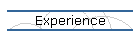 Experience